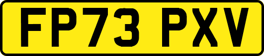 FP73PXV