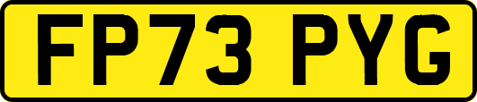 FP73PYG
