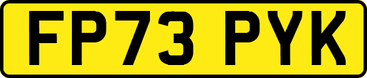 FP73PYK