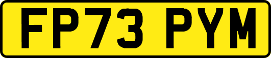 FP73PYM