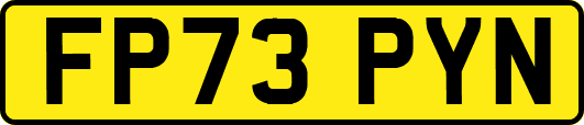 FP73PYN