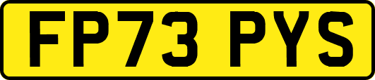 FP73PYS