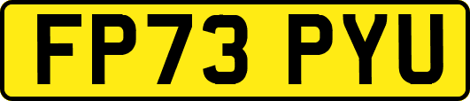 FP73PYU