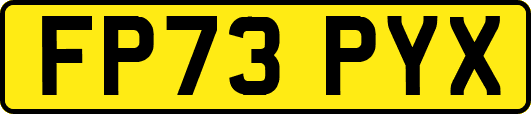 FP73PYX