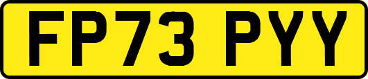 FP73PYY