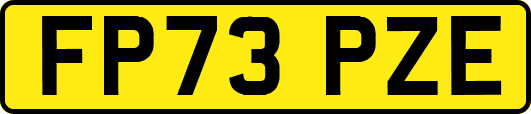 FP73PZE