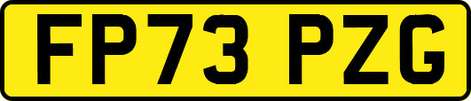 FP73PZG