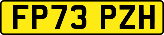 FP73PZH