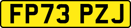 FP73PZJ