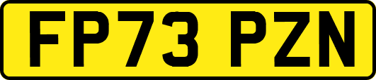 FP73PZN