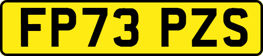 FP73PZS