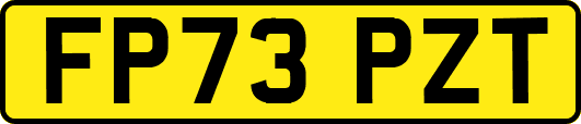 FP73PZT