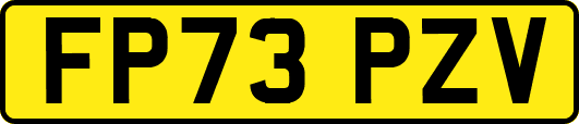 FP73PZV