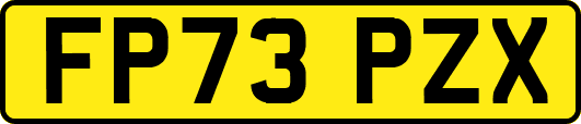 FP73PZX