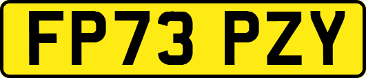 FP73PZY