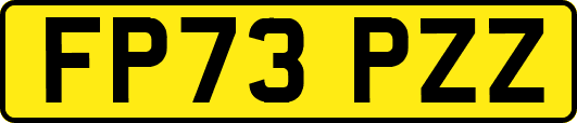 FP73PZZ