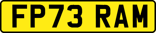 FP73RAM
