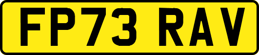 FP73RAV