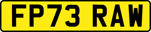 FP73RAW