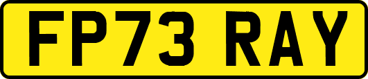 FP73RAY
