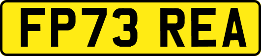 FP73REA