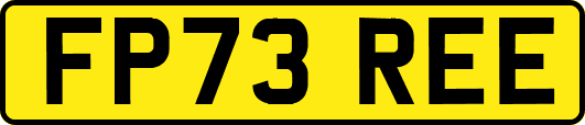 FP73REE