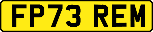 FP73REM