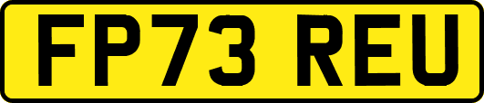 FP73REU