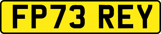 FP73REY