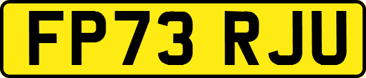 FP73RJU