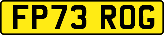 FP73ROG