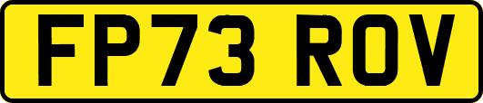 FP73ROV