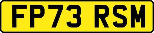 FP73RSM
