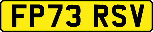 FP73RSV