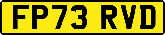 FP73RVD