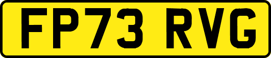 FP73RVG