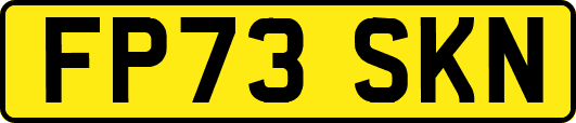 FP73SKN