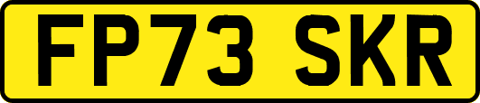 FP73SKR