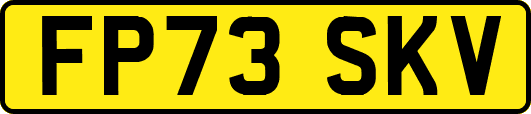 FP73SKV