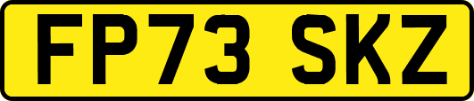 FP73SKZ