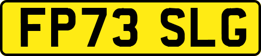 FP73SLG
