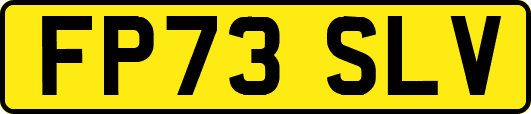 FP73SLV