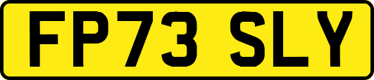 FP73SLY