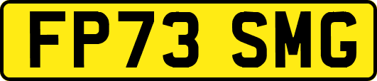 FP73SMG