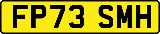 FP73SMH