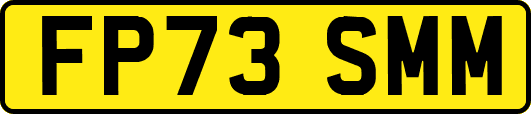 FP73SMM