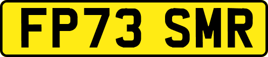 FP73SMR