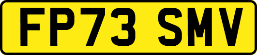 FP73SMV