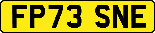 FP73SNE