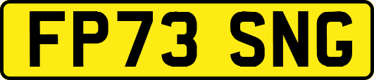 FP73SNG